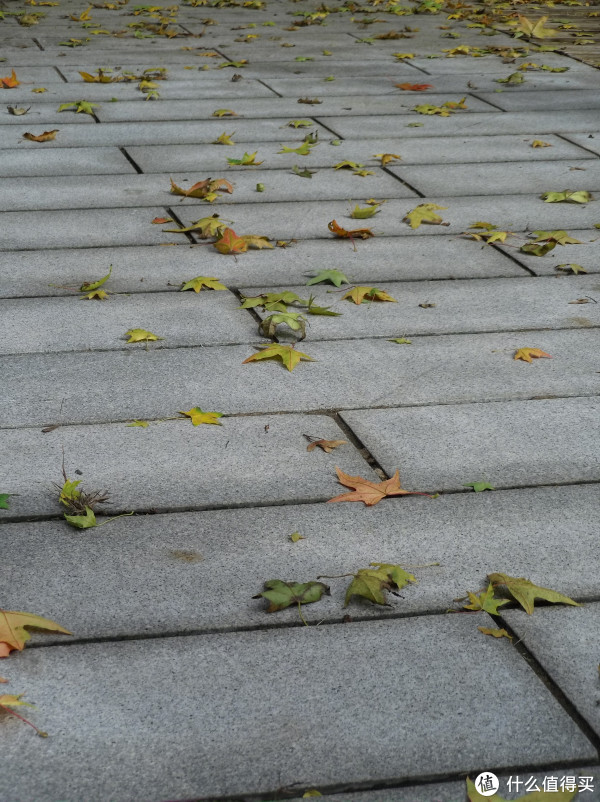 f/5.0&nbsp;&nbsp;1/1000&nbsp;&nbsp;14.60mm&nbsp;&nbsp;ISO100