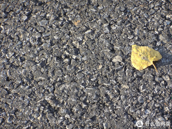 f/6.5&nbsp;&nbsp;1/100&nbsp;&nbsp;45.00mm&nbsp;&nbsp;ISO140