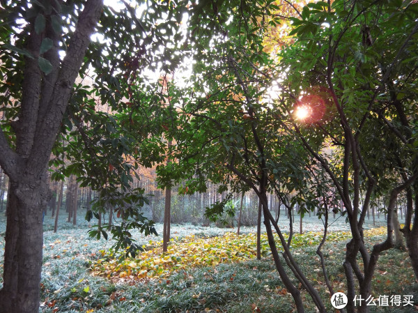 f/3.5&nbsp;&nbsp;1/30&nbsp;&nbsp;4.50mm&nbsp;&nbsp;ISO160