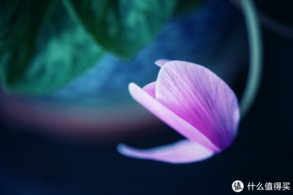 ▲ 焦距:90mm　 光圈:f/2.8　 ISO感光度:3200　 曝光时间:1/25