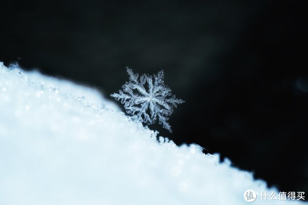 ▲ 焦距:90mm　 光圈:f/8.0　 ISO感光度:160　 曝光时间:1/100
