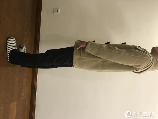 全身图侧面