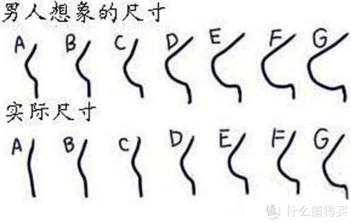 但 真相是:a罩杯真的很平,但d罩杯却不一定大,h 罩杯并不是从外星球来