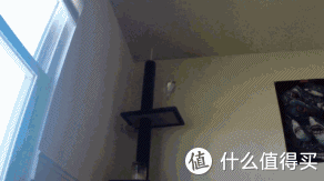 进阶的蜜(蜜袋鼯)奴