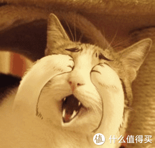 流浪猫鲍勃(a street cat named bob)