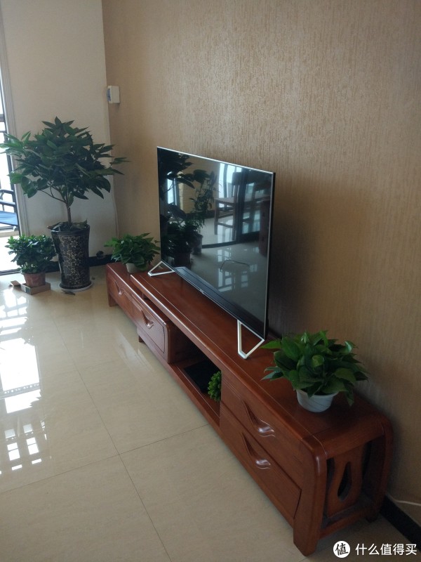 侧面照