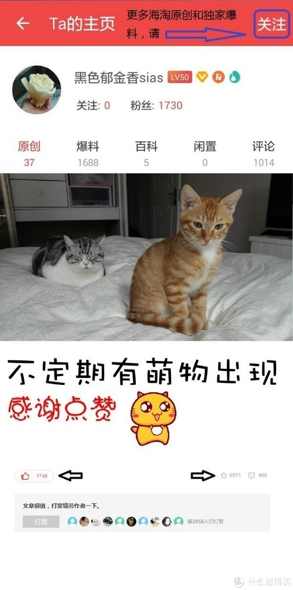 科学养好喵 篇八:猫以食为天——科学选购猫粮指南