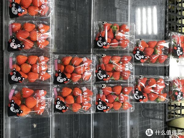 熊本熊比草莓可爱 熊本熊比草莓可爱