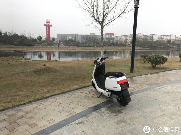 白天的左后