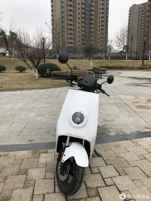 小牛n1s前脸