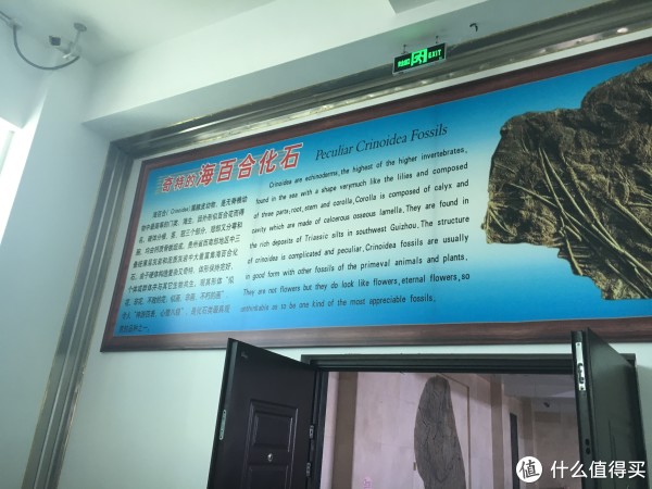 热征#过五一#山东天宇自然博物馆游记