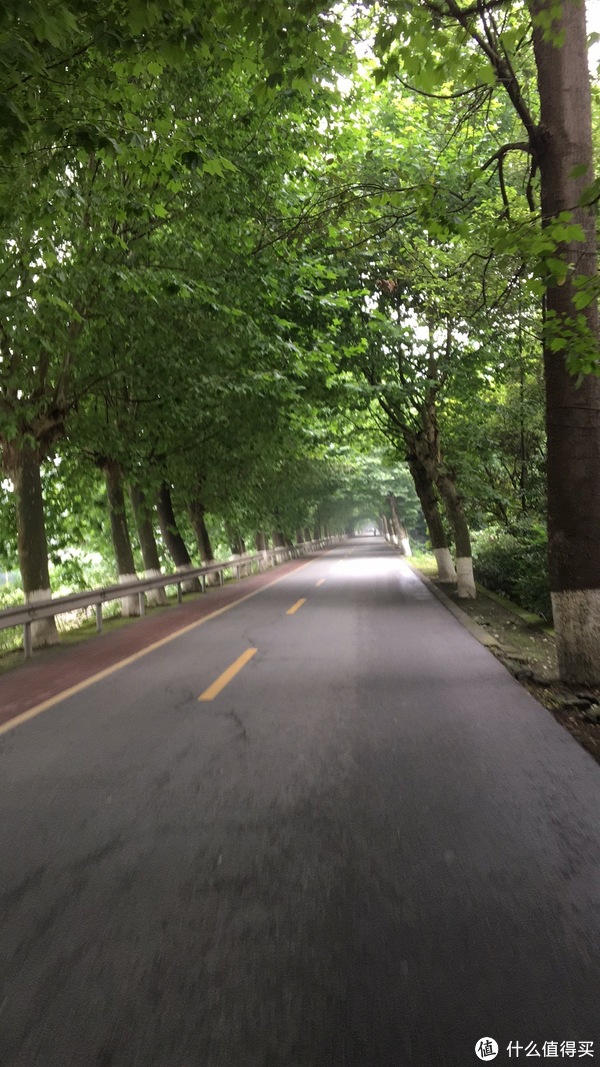 5公里的枫叶林小道