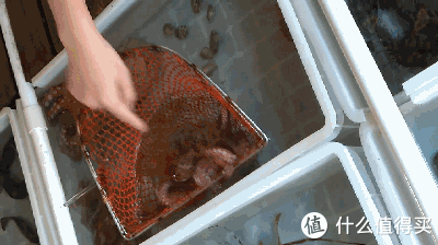 在粤不可错过的短旅:夺走我好多第一次的海岛浪游