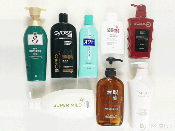 8款洗发水使用分享 | 拯救头皮出油重灾区!