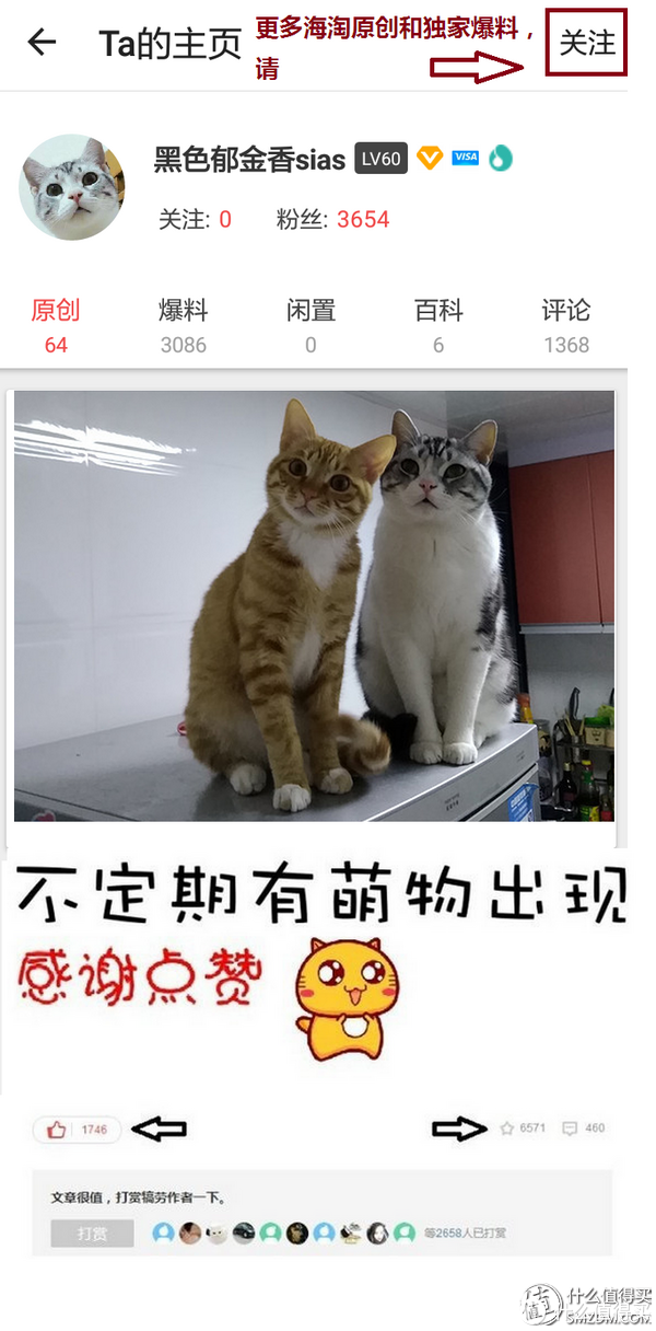#嗨购亚马逊#只花61.8元,我差点搬空亚马逊 — 神价格挖掘实战教程