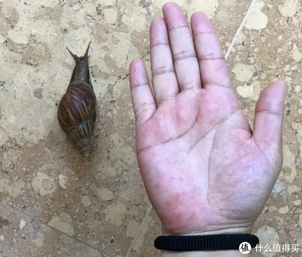 我住过的那些SPG酒店 篇十六:带孩子去海南避暑,最后一站——御海棠(童趣无价!)
