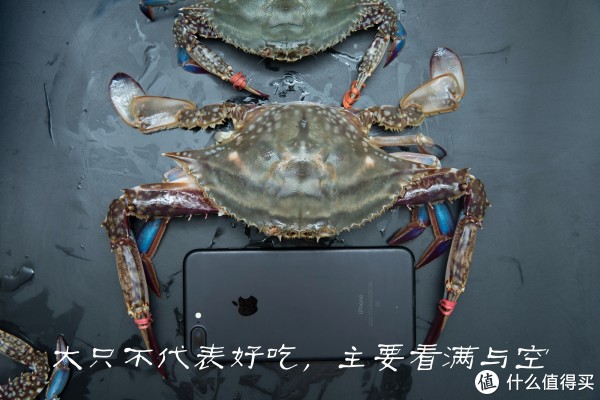 飞蟹选购指南