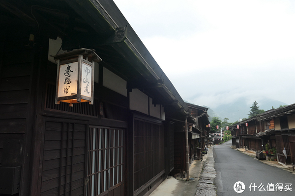 户隐神社巨杉