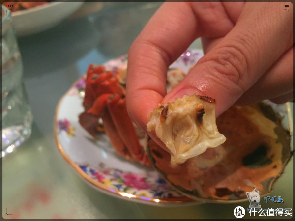 又到菊黄蟹肥时,大闸蟹壳寻法海