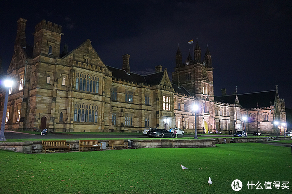 悉尼大学哈利波特楼夜景