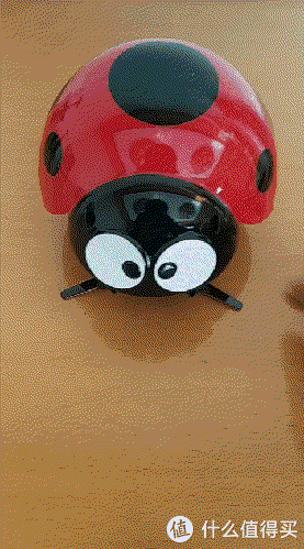 七星瓢虫 逗逗虫机器人