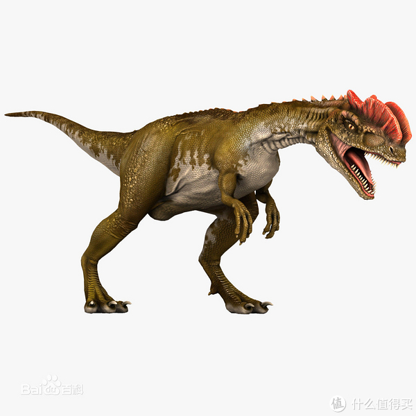 好价双脊龙(学名dilophosaurus),又名双棘龙,双嵴龙或双冠龙,是一属兽