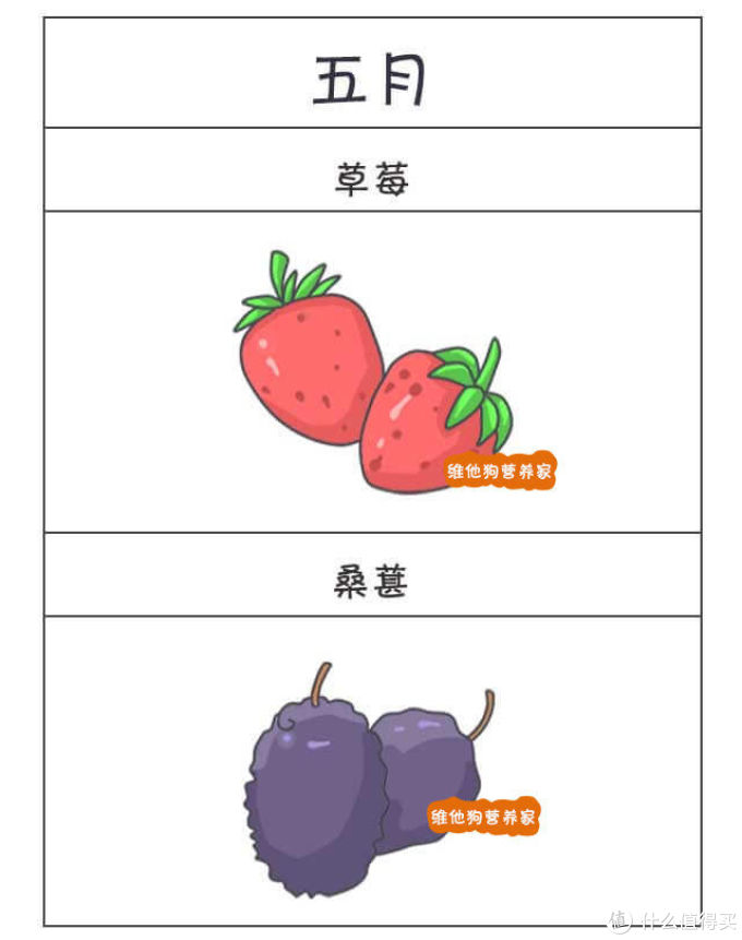 生活种草君 篇一:背熟了这个水果经,一年到头吃什么水果都不用愁