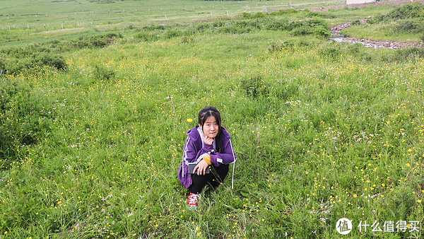 带着小美女去丰宁坝上草原骑马看湖游记