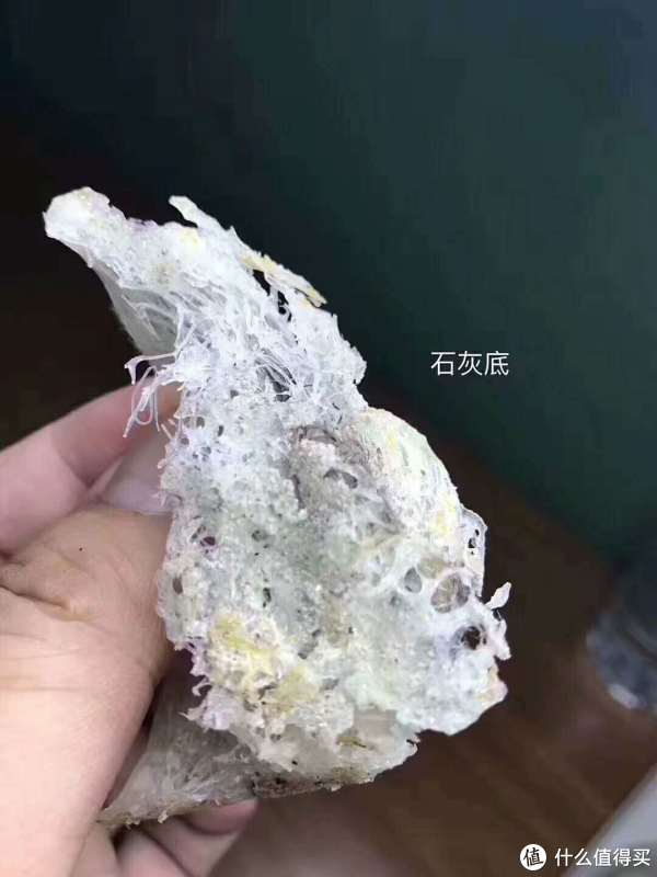 知识贴 篇一:买燕窝底座越小越好吗?