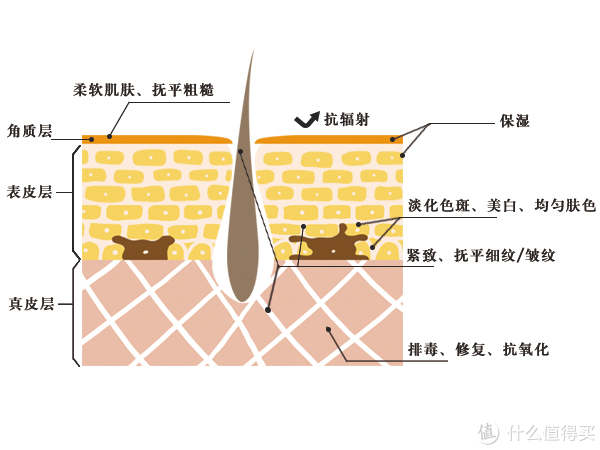 皮肤屏障修护指南