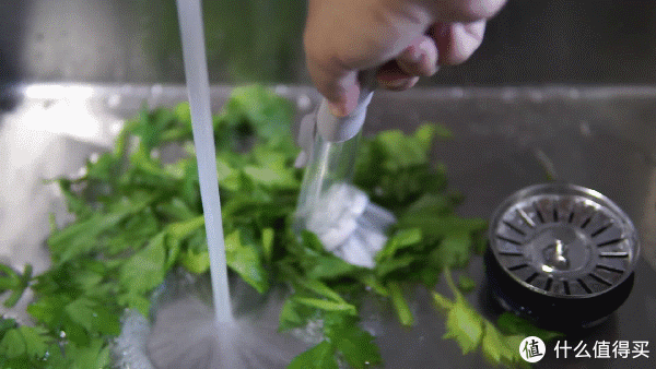 草绿色的出水,有点像粉碎式榨汁机