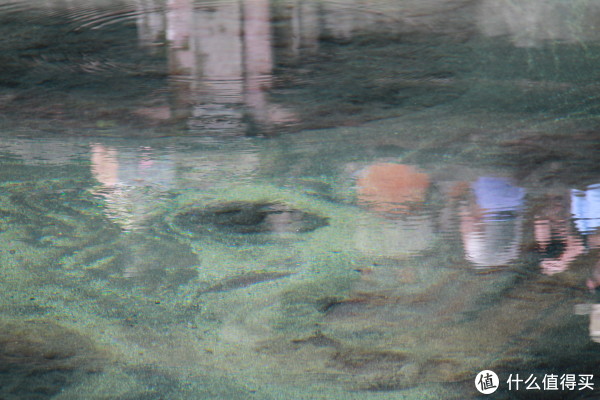 圣泉寺中间还有一个池子,一直有泉水从淤泥中喷出.