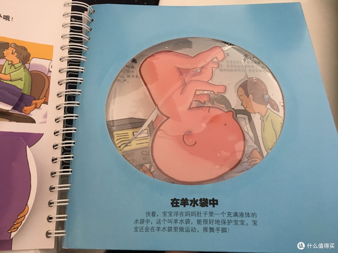 绘本篇二啥这本书里有个羊水袋培养宝宝身体认知绝不能错过它