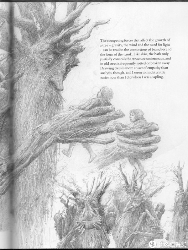 喜迎图书日,英文原版《纸上中洲:艾伦李的〈魔戒〉素描集》入手晒单