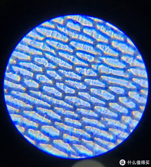 给家里小朋友科学启蒙的投资:德国宝视德儿童显微镜评测