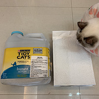 铲屎官的新选择：雀巢普瑞纳 TIDY CATS泰迪 即效除臭型猫砂 使用体验