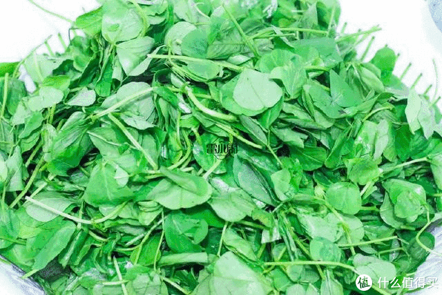 【马兰头拌豆干】