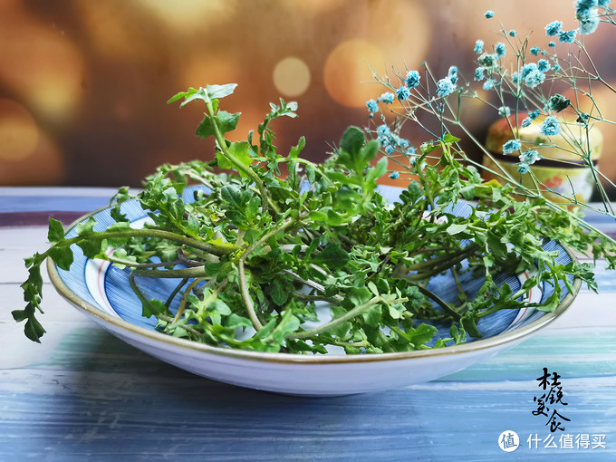 如何巧妙区分荠菜蒲公英?牢记5点巧分辨,再不怕挖错闹笑话