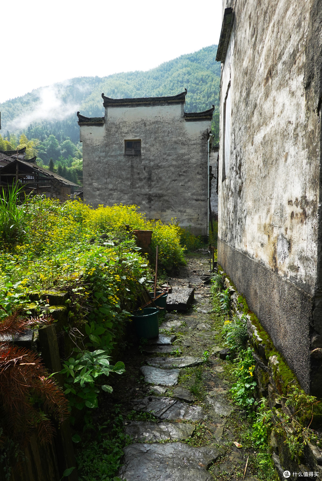 祖源村景