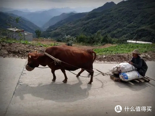 走在相亲的道路上吭哧吭哧像老牛拉破车似滴~这还不是最尴尬的~最尴尬