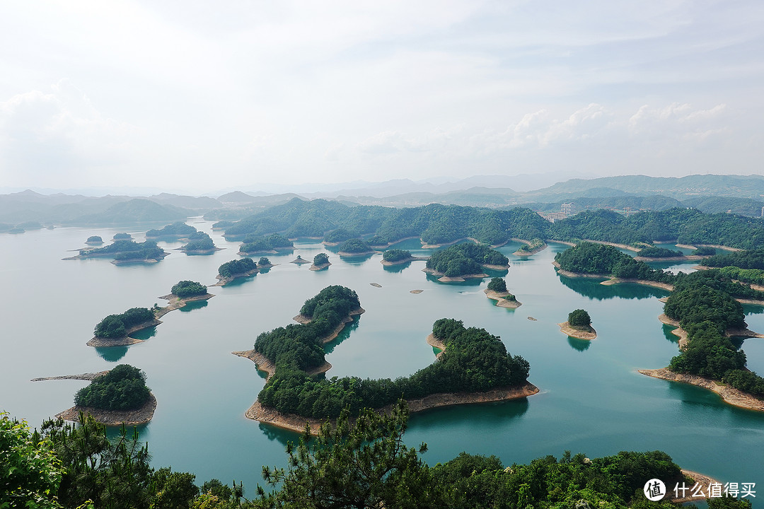 我在千岛湖住了3天吃了三顿鱼头