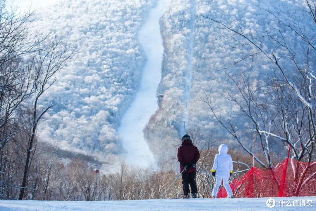 今年冬天怎么玩最全滑玩雪攻略来了