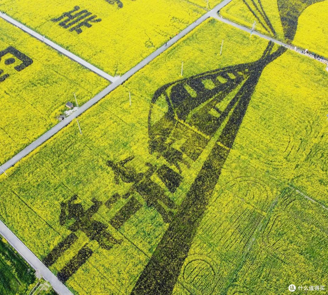 二:崇州五星村油菜花