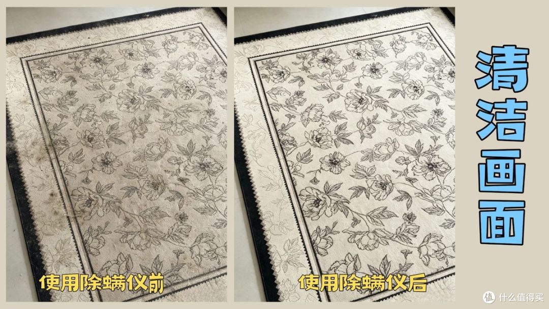 双十一必购生活用品、单品推荐哪些?盘点 2026口碑TOP10爆款好物
