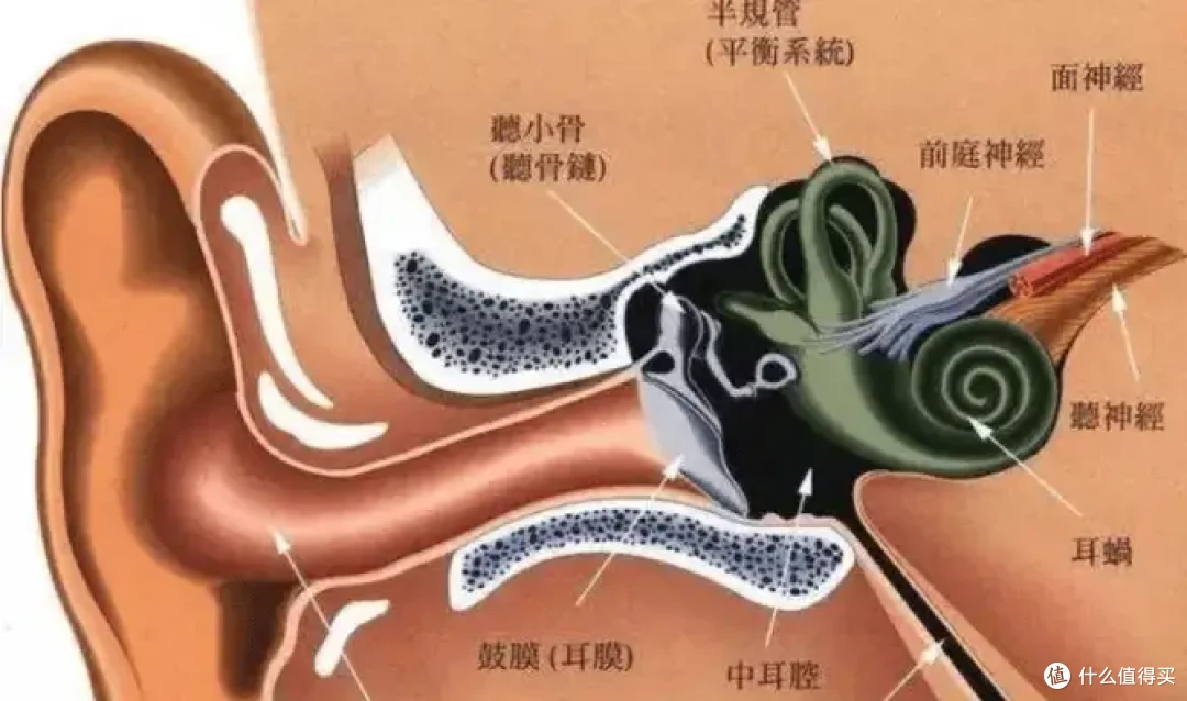 耳夹式蓝牙耳机哪个牌子好用又便宜?10款口碑好的夹耳式耳机品牌