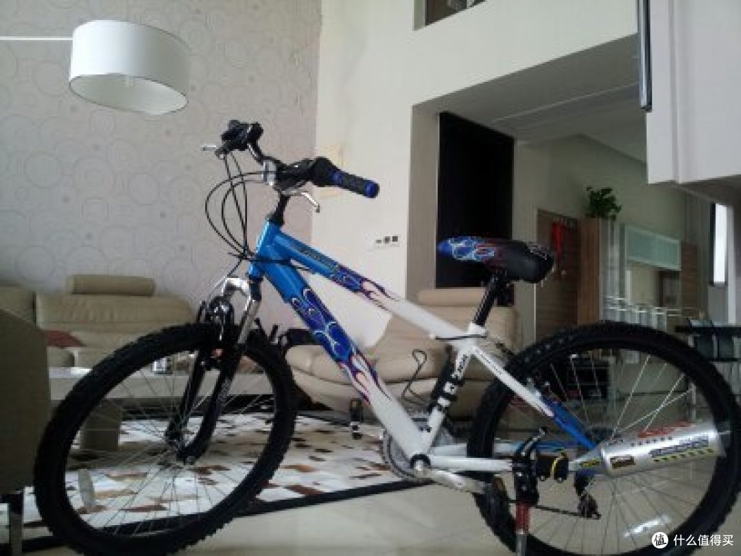 Raleigh Hot Rod 24 Inch Boys Bike 自行车