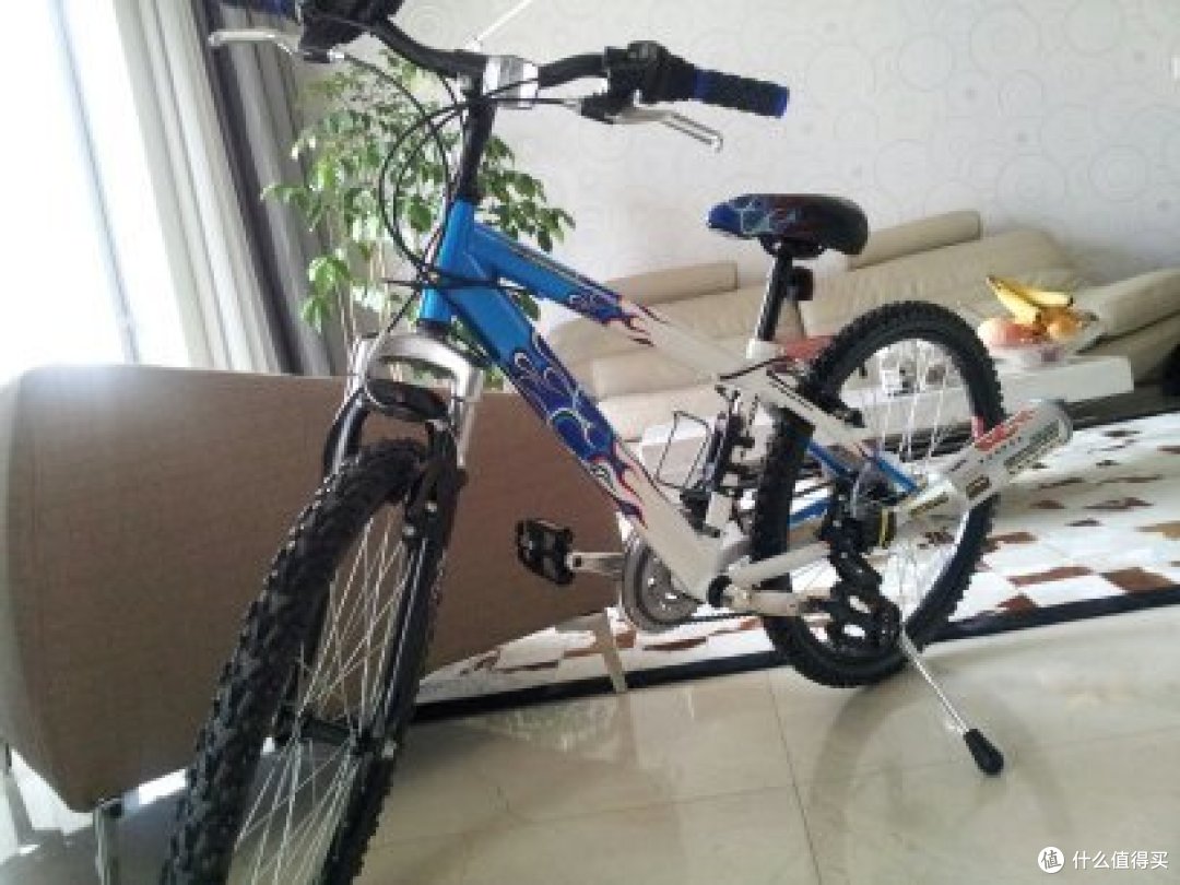 Raleigh Hot Rod 24 Inch Boys Bike 自行车