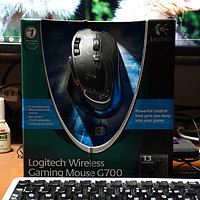 Logitech 罗技 旗舰级 无线游戏鼠标 G700 (美行)