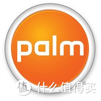 那颗顽皮的鹅卵石——Palm Veer