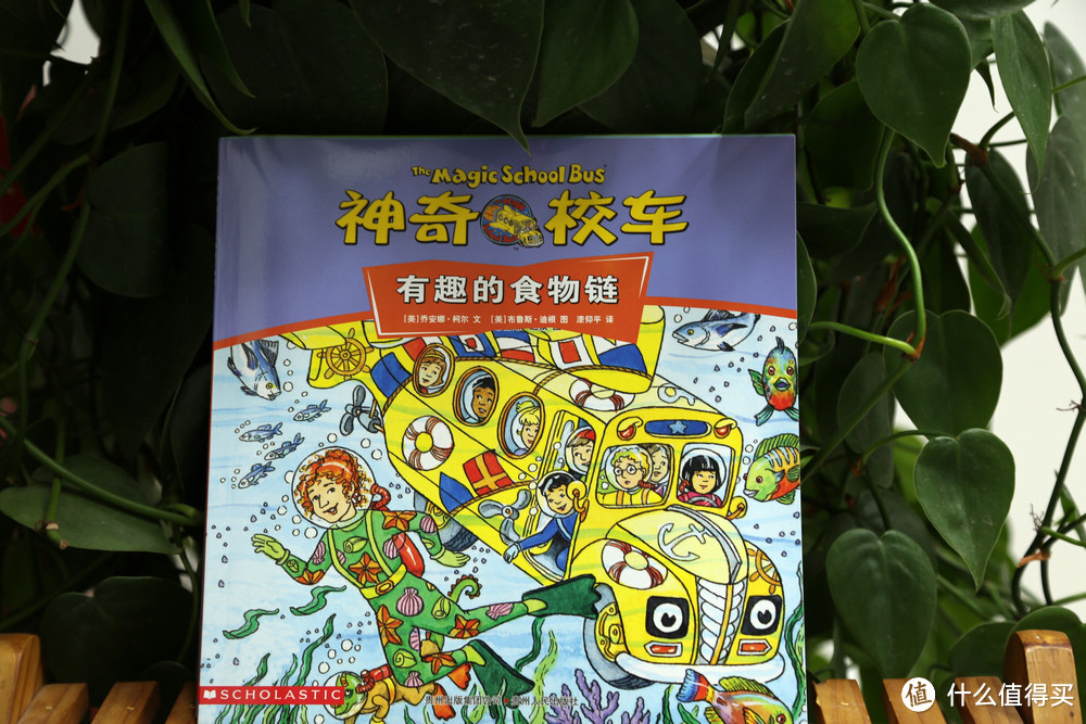 适合6岁至99岁的小盆友看的《The Magic School Bus》 （神奇校车）